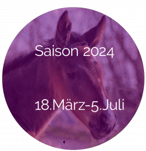 Saison2024neuIMG_6333 (2)-2